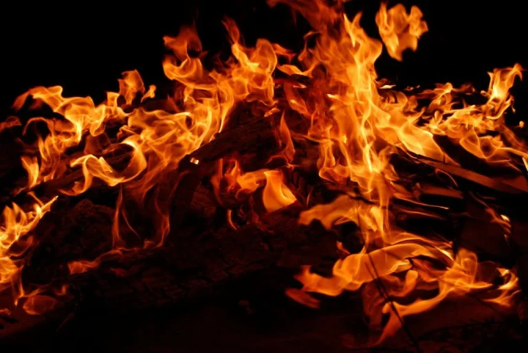 Kebakaran belukar merebak, 18 kenderaan terbakar di Johor Bahru