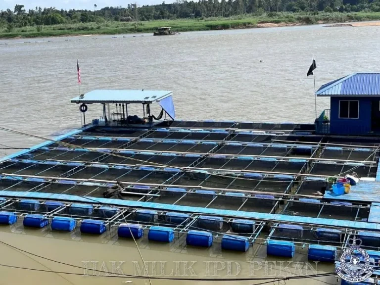 Pemuda jatuh sungai dekat sangkar ikan patin ditemukan lemas