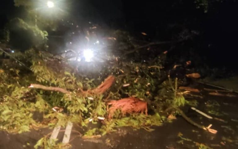 Enam individu berdepan detik cemas, dua buah kenderaan dihempap pokok tumbang di Seremban
