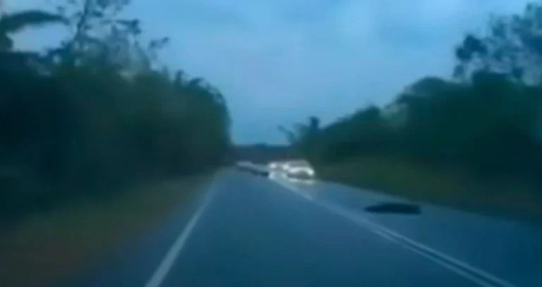 Polis minta saksi kemalangan maut tampil bantu siasatan
