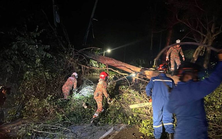 Pokok tumbang hempap dua kereta