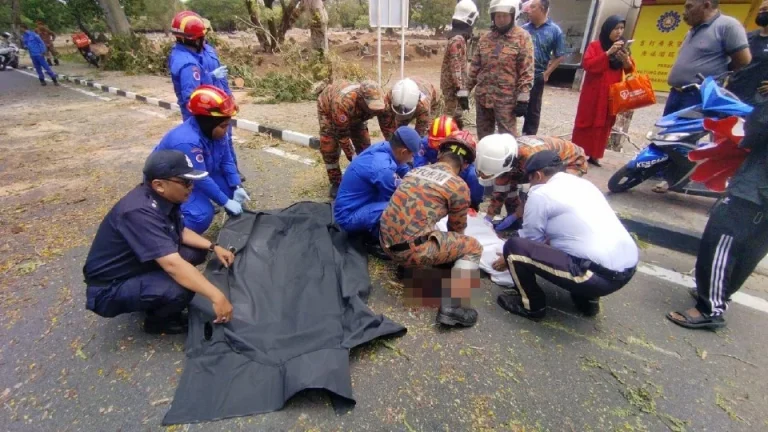 Penunggang maut, seorang lagi cedera dihempap pokok tumbang