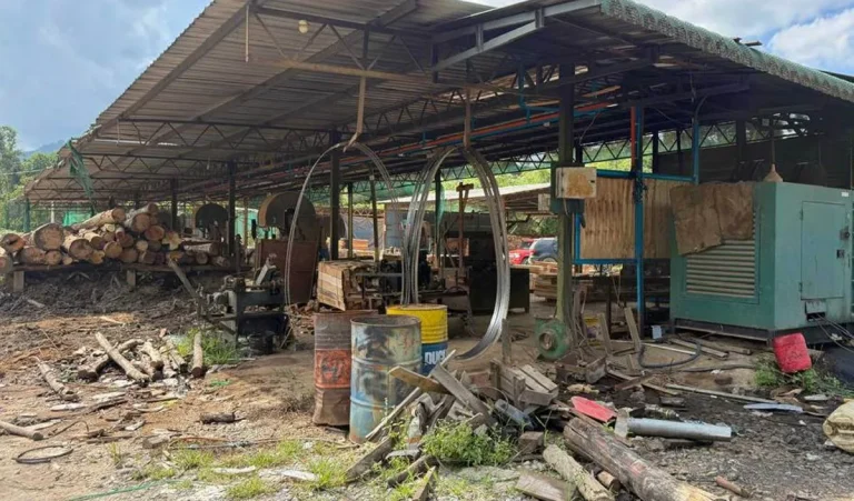 Polis sita kilang kayu balak haram bernilai RM5.17 juta