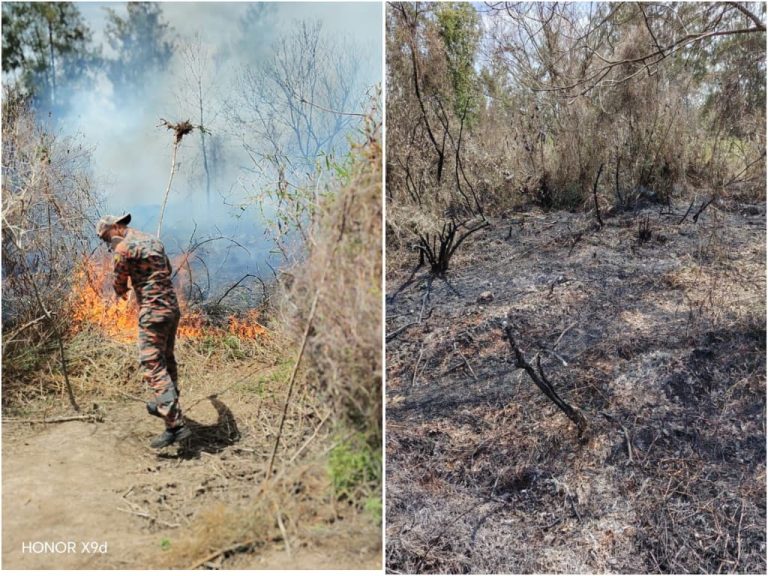 Hutan bukit dua ekar terbakar dekat Plaza Tol Putrajaya