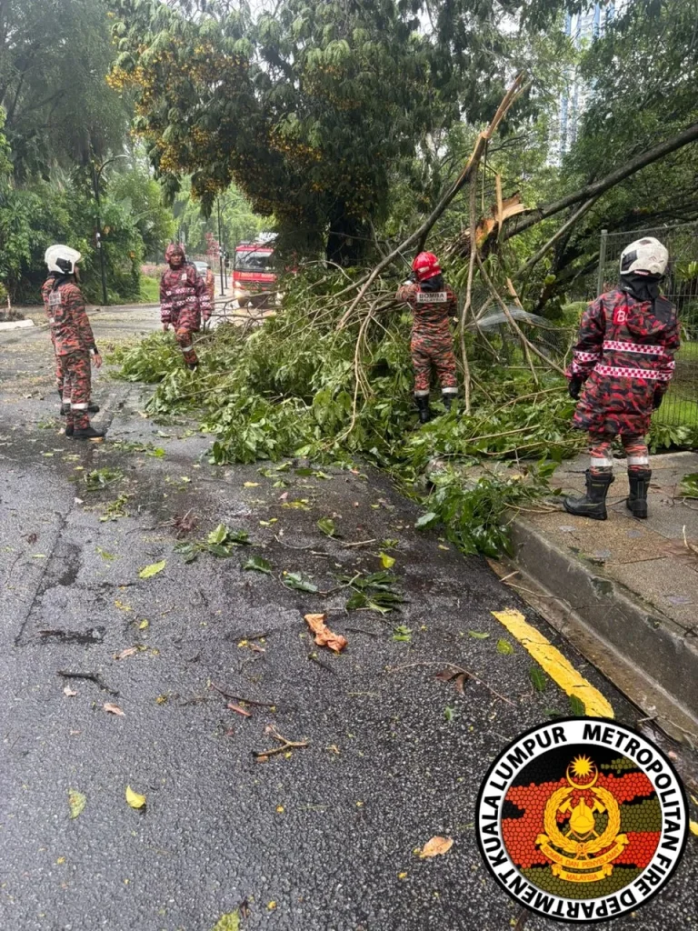 Ribut petir: Enam kes pokok tumbang dilapor di Kuala Lumpur
