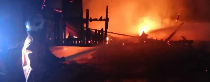 fireee_1774836432