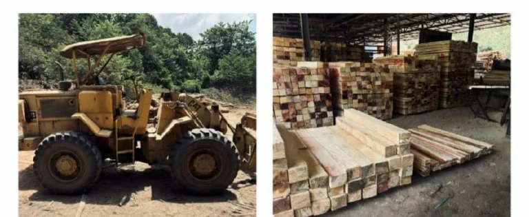 Serbuan kilang papan: 25 ditahan, rampasan lebih RM16 juta
