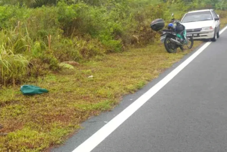 Penunggang maut langgar babi ketika dalam perjalanan ke tempat kerja