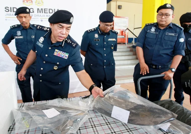 Kastam rampas sirip yu, daging babi bernilai RM10 juta