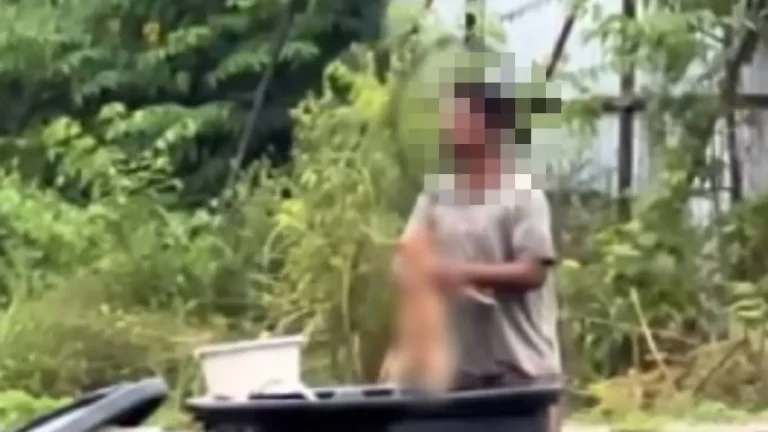 Lelaki ditahan rendam anak anjing dalam tangki air