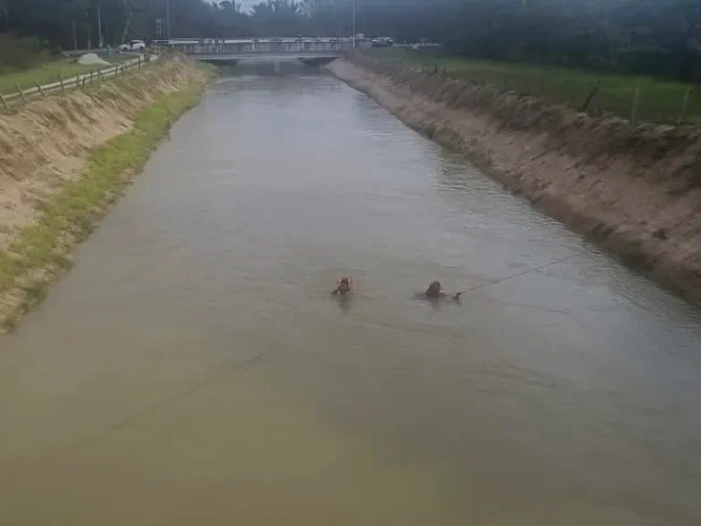 Budak enam tahun lemas terjatuh terusan