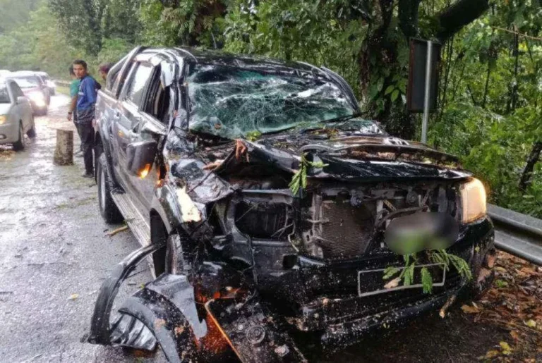 Pemandu Hilux cemas, kenderaan dipandu dihempap pokok tumbang