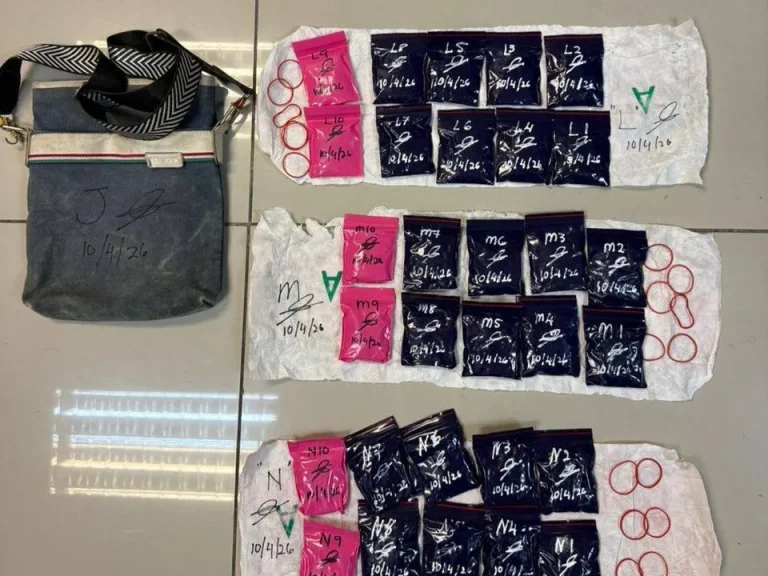 Batalion 9 PGA rampas pil yaba bernilai RM80,000 di kebun