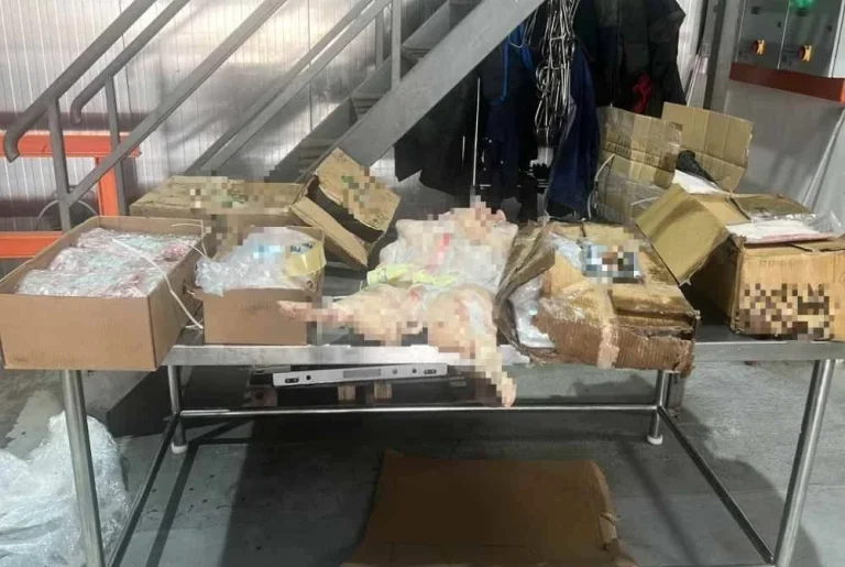 Stor sejuk beku diserbu, karkas daging babi lebih RM60,000 dirampas