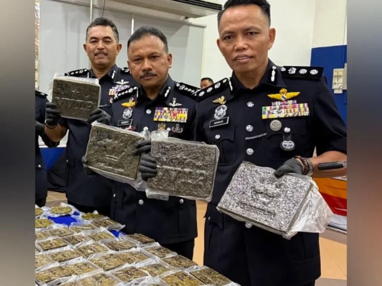 Guna taktik jadi kurier, dua beranak edar 40 kg ganja dicekup