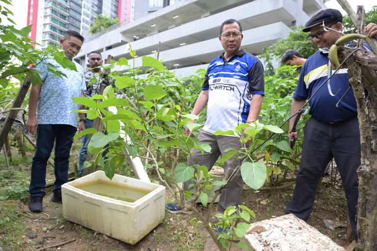 MBPJ tutup kawasan kebun haram di Damansara Damai
