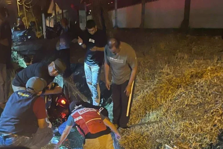 Pengawal keselamatan maut motosikal rempuh anjing melintas
