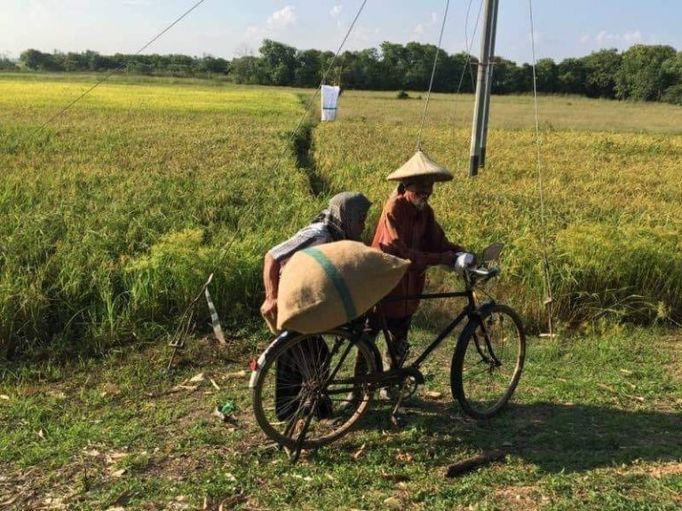 Kerajaan lulus RM48 juta bantu pesawah, tangani kemarau Kedah