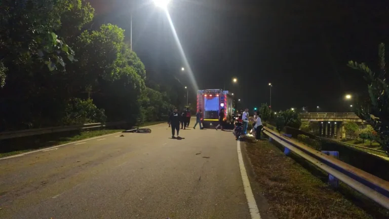 Penunggang motosikal maut rempuh pokok tumbang di Lebuhraya Pasir Gudang