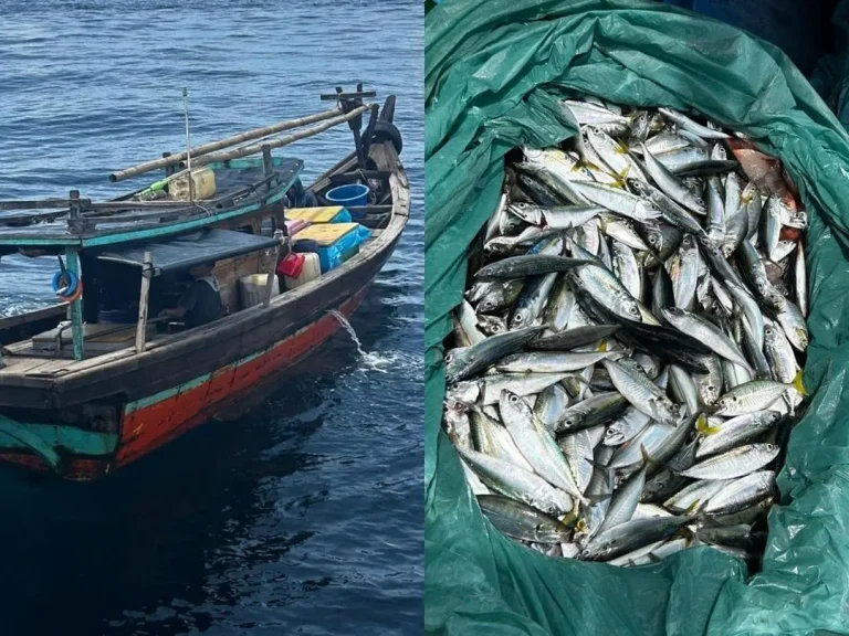 Bot nelayan asing ditahan, tangkap ikan secara haram di perairan
