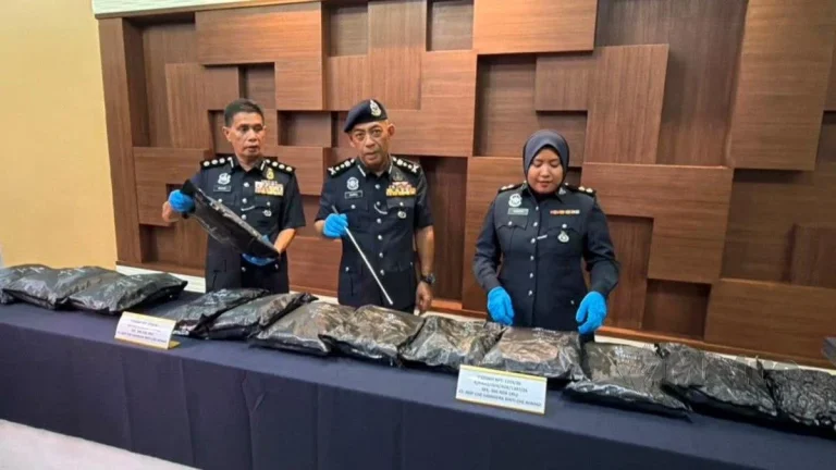 Penuntut IPTS jadi ‘transporter’ bunga ganja RM1.17 juta dicekup