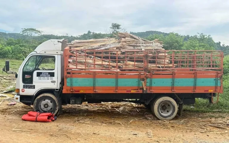 PGA serbu kilang kayu haram, 5 ditahan babitkan rampasan RM1.69 juta