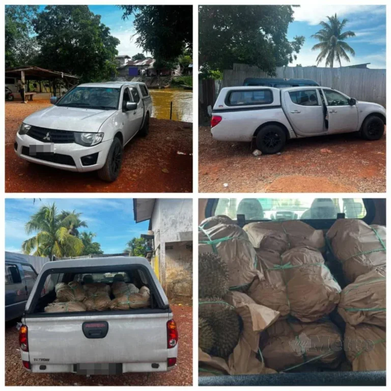 Lelaki ditahan cuba seludup 350kg durian dari Thailand