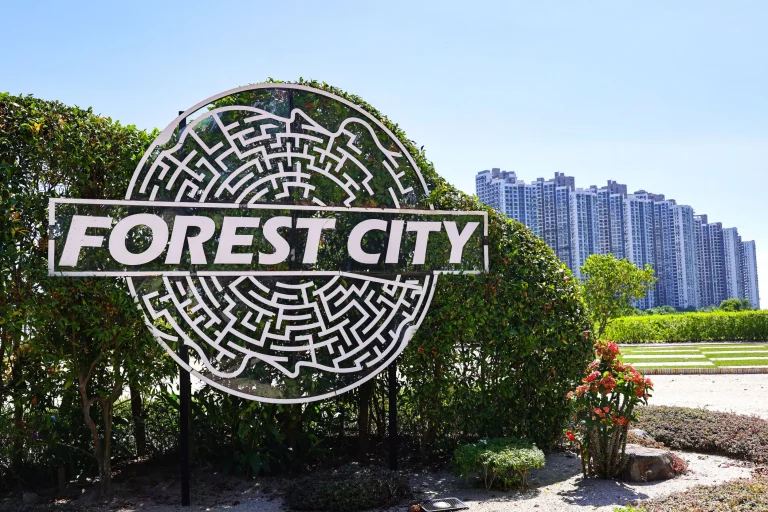 266 warga asing diperiksa di sekitar Forest City – JIM