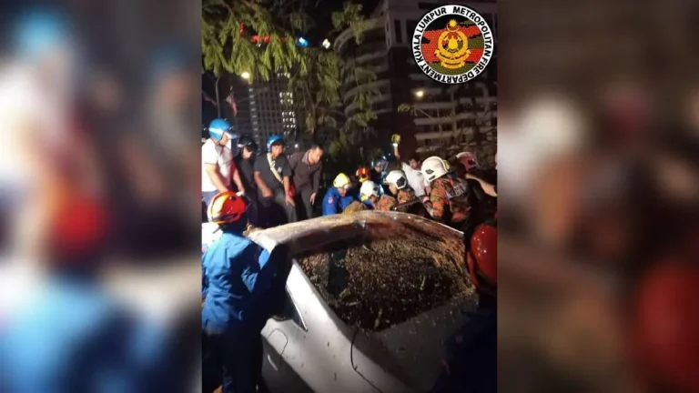Lelaki parah kereta dihempap pokok tumbang disahkan meninggal dunia