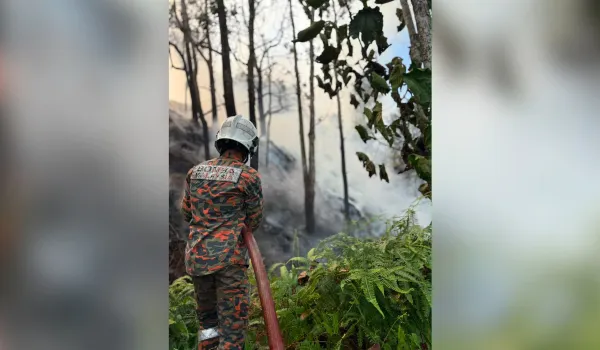 Bomba bertungkus lumus padam kebakaran hutan bukit di Puncak Alam