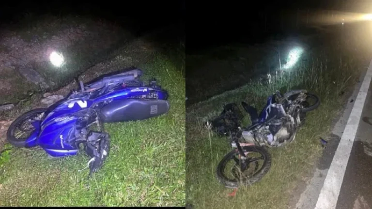 Dua sahabat maut rempuh kerbau melintas jalan