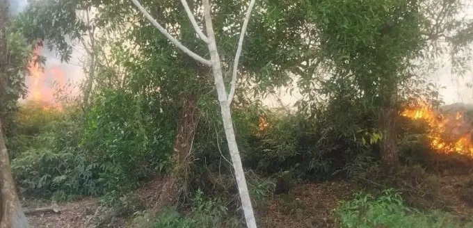 2.42 hektar hutan FRIM Bidor terbakar, pemadaman disambung pagi ini