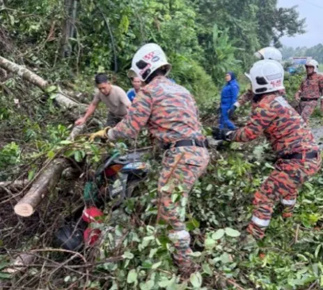 Pengawal keselamatan maut dihempap pokok tumbang ketika ke tempat kerja